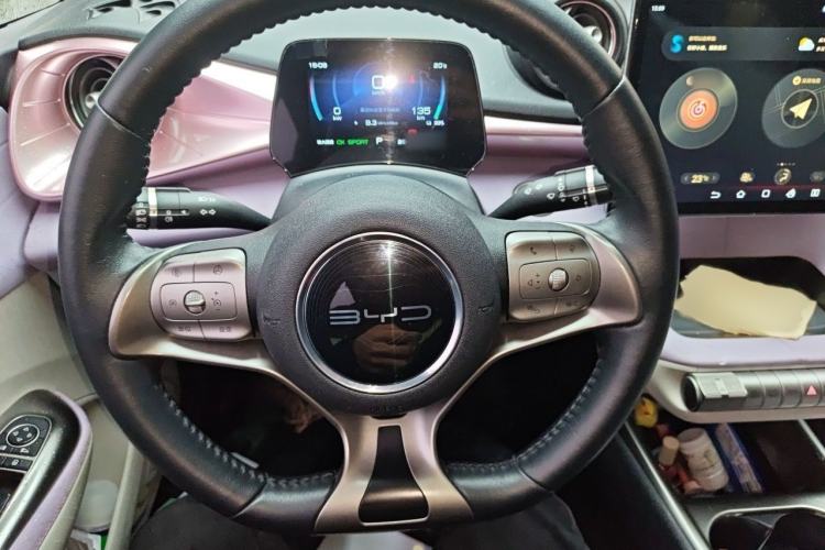 Used BYD Dolphin 2021 405 km Fashion Edition Steering Wheel