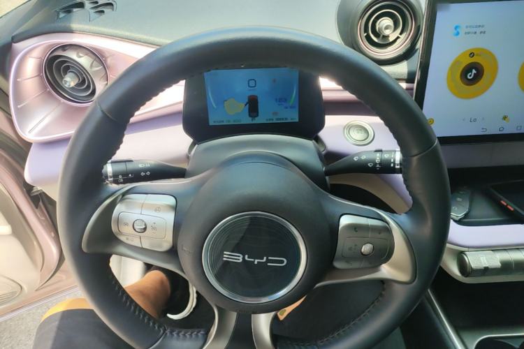 Used BYD Dolphin 2021 405 km Fashion Edition Steering Wheel