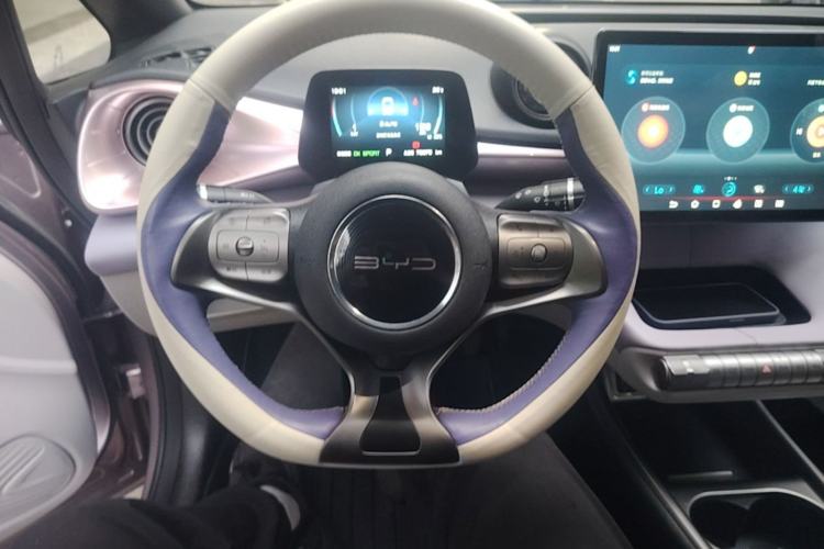 Used BYD Dolphin 2021 405 km Fashion Edition Steering Wheel
