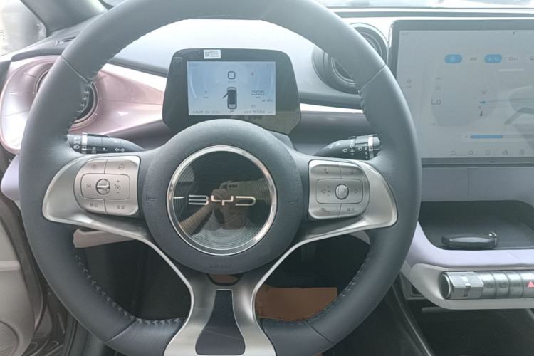 Used BYD Dolphin 2021 405 km Fashion Edition Steering Wheel