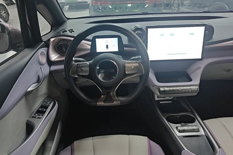 Used BYD Dolphin 2021 405 km Free Version Steering Wheel