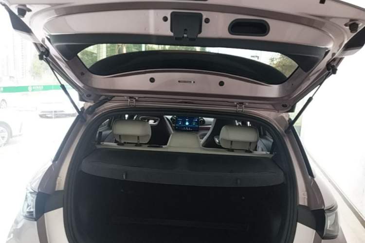 Used BYD Dolphin 2021 405 km Fashion Edition Trunk