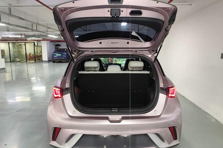Used BYD Dolphin 2021 405 km Fashion Edition Trunk