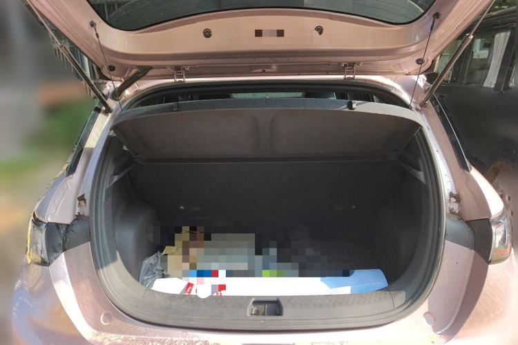 Used BYD Dolphin 2021 405 km Fashion Edition Trunk