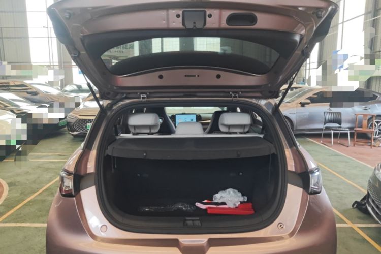 Used BYD Dolphin 2021 401km Knight Edition Trunk
