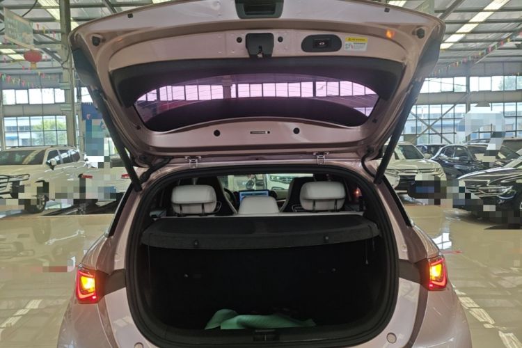 Used BYD Dolphin 2021 405 km Fashion Edition Trunk