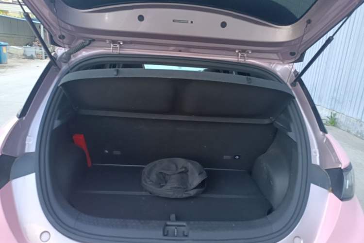 Used BYD Dolphin 2021 405 km Fashion Edition Trunk