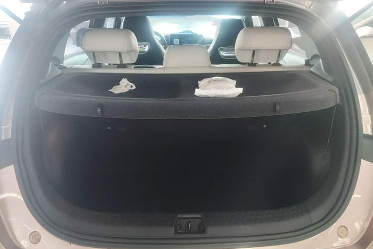 Used BYD Dolphin 2021 405 km Fashion Edition Trunk