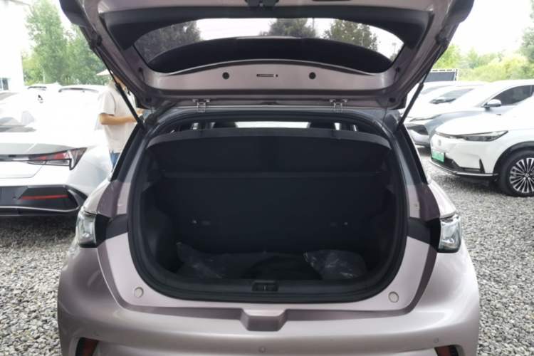 Used BYD Dolphin 2021 401km Knight Edition Trunk