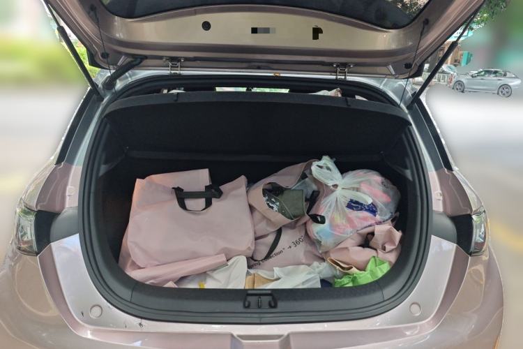Used BYD Dolphin 2021 405 km Fashion Edition Trunk