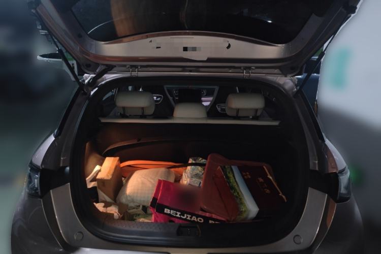 Used BYD Dolphin 2021 405 km Fashion Edition Trunk