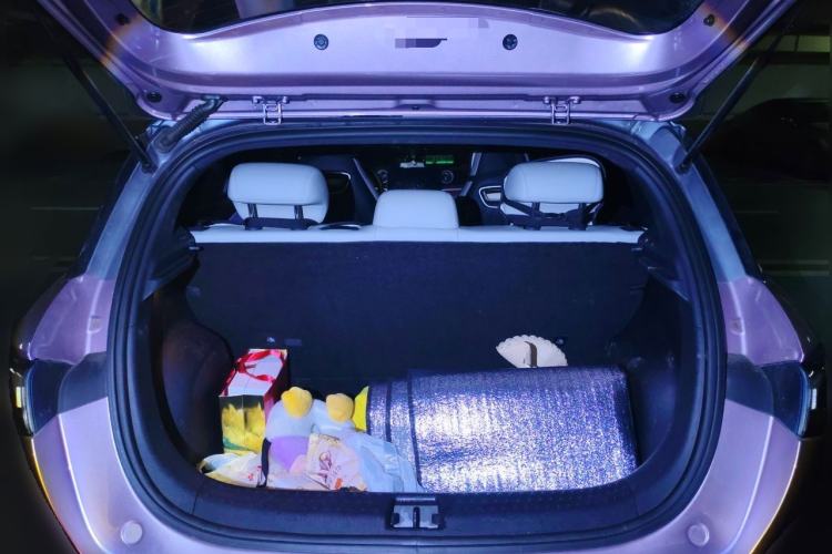 Used BYD Dolphin 2021 401km Knight Edition Trunk