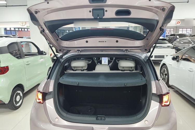 Used BYD Dolphin 2021 401km Knight Edition Trunk