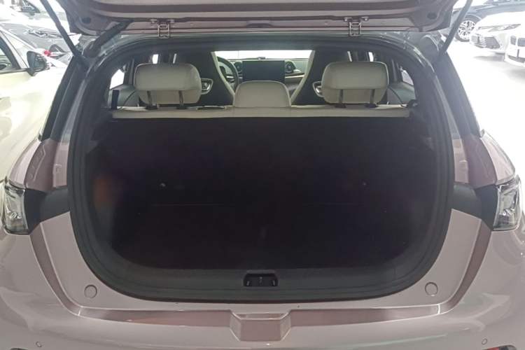 Used BYD Dolphin 2021 401km Knight Edition Trunk