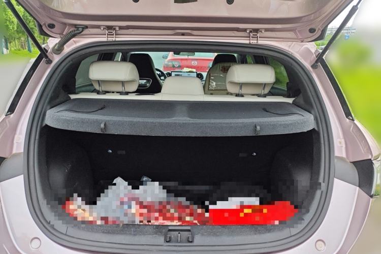 Used BYD Dolphin 2021 405 km Fashion Edition Trunk