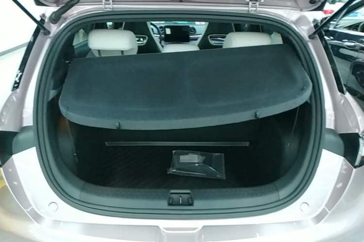 Used BYD Dolphin 2021 405 km Fashion Edition Trunk