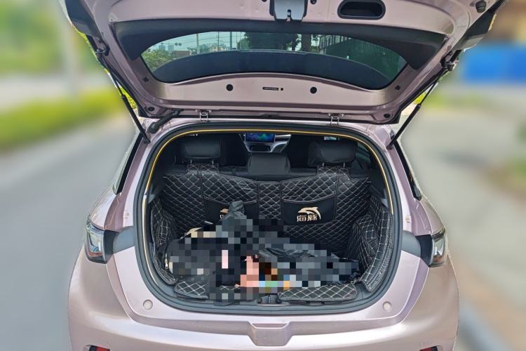 Used BYD Dolphin 2021 405 km Fashion Edition Trunk