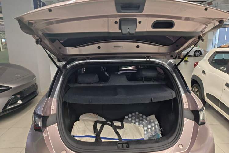 Used BYD Dolphin 2021 401km Knight Edition Trunk