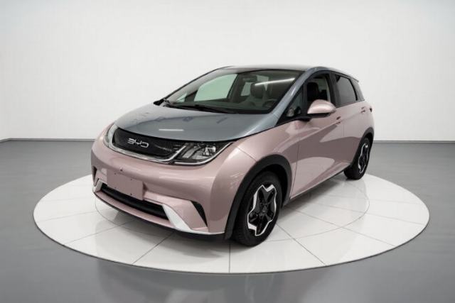 BYD Dolphin 2021 405 km Fashion Edition de segunda mano