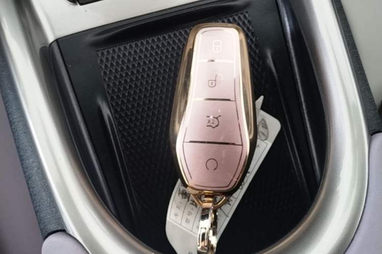 Used BYD Dolphin 2021 405 km Fashion Edition Vehicle Key