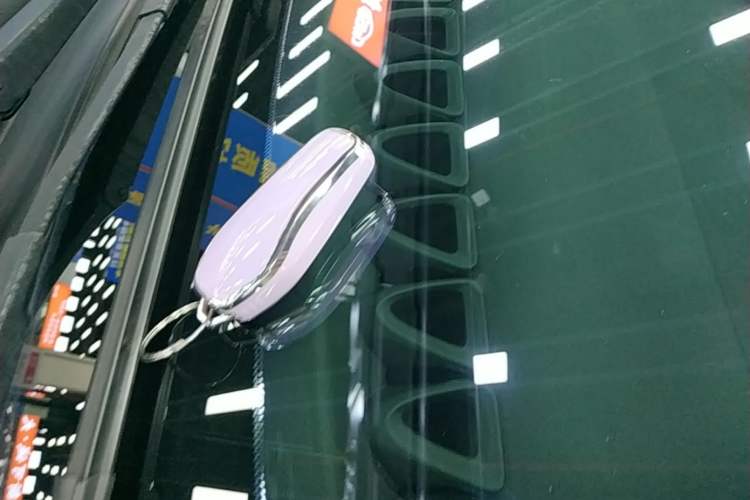 Used BYD Dolphin 2021 405 km Fashion Edition Vehicle Key