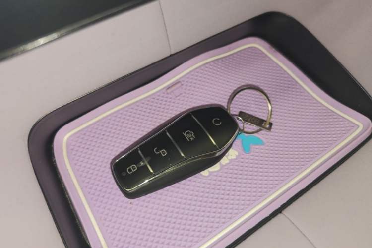 Used BYD Dolphin 2021 401km Knight Edition Vehicle Key