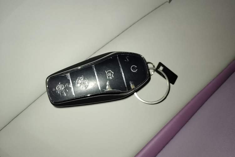 Used BYD Dolphin 2021 405 km Fashion Edition Vehicle Key