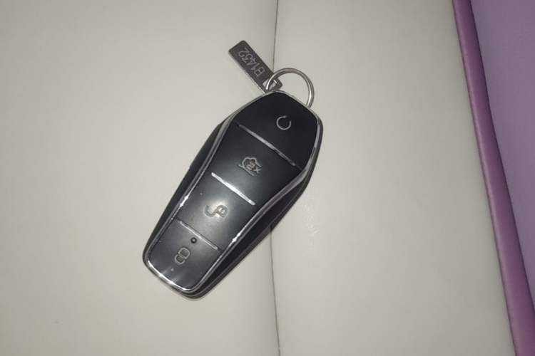 Used BYD Dolphin 2021 405 km Fashion Edition Vehicle Key
