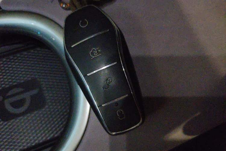 Used BYD Dolphin 2021 405 km Fashion Edition Vehicle Key
