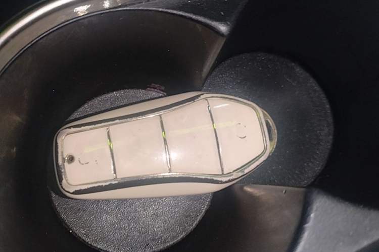 Used BYD Dolphin 2021 401km Knight Edition Vehicle Key