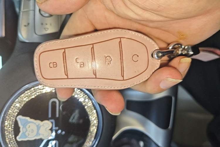 Used BYD Dolphin 2021 405 km Fashion Edition Vehicle Key