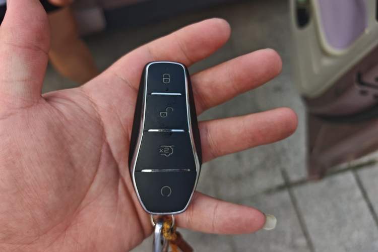 Used BYD Dolphin 2021 405 km Free Version Vehicle Key