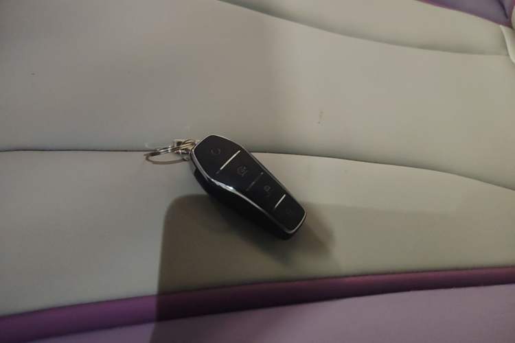 Used BYD Dolphin 2021 401km Knight Edition Vehicle Key