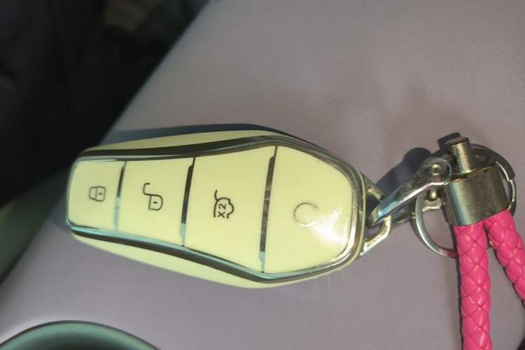 Used BYD Dolphin 2021 405 km Fashion Edition Vehicle Key