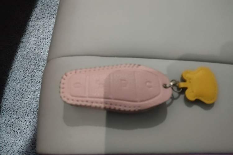 Used BYD Dolphin 2021 405 km Fashion Edition Vehicle Key