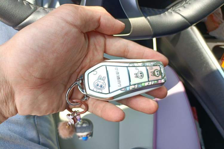 Used BYD Dolphin 2021 405 km Fashion Edition Vehicle Key