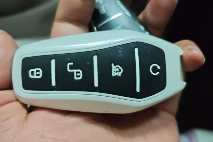 Used BYD Dolphin 2021 405 km Fashion Edition Vehicle Key
