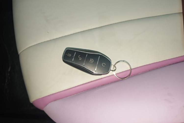 Used BYD Dolphin 2021 405 km Fashion Edition Vehicle Key