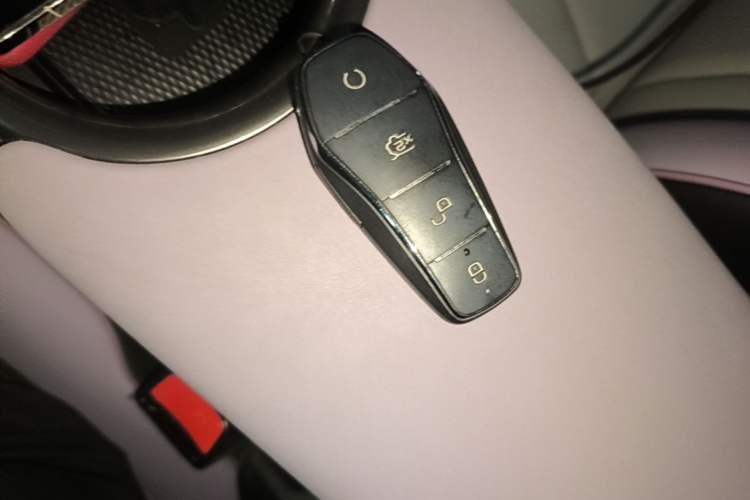 Used BYD Dolphin 2021 405 km Free Version Vehicle Key