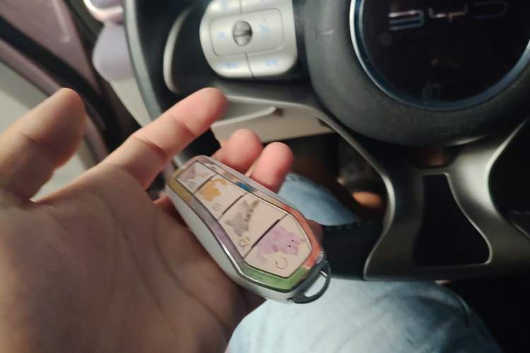 Used BYD Dolphin 2021 405 km Fashion Edition Vehicle Key