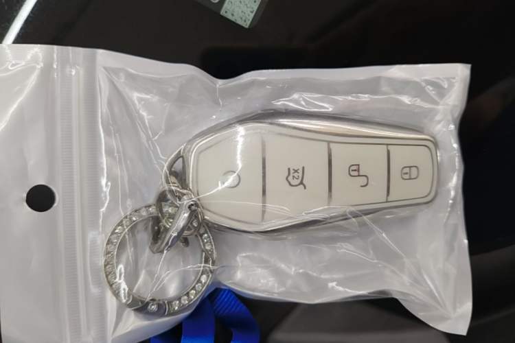 Used BYD Dolphin 2021 405 km Free Version Vehicle Key