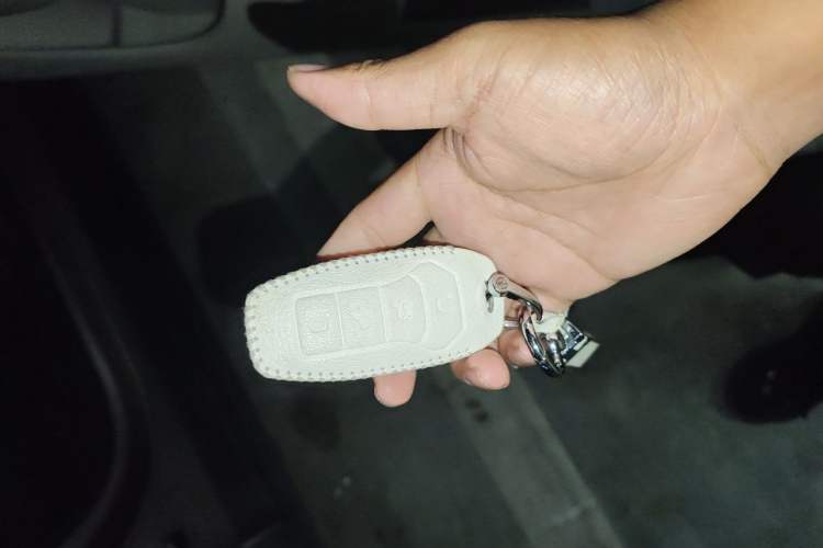 Used BYD Dolphin 2021 401km Knight Edition Vehicle Key