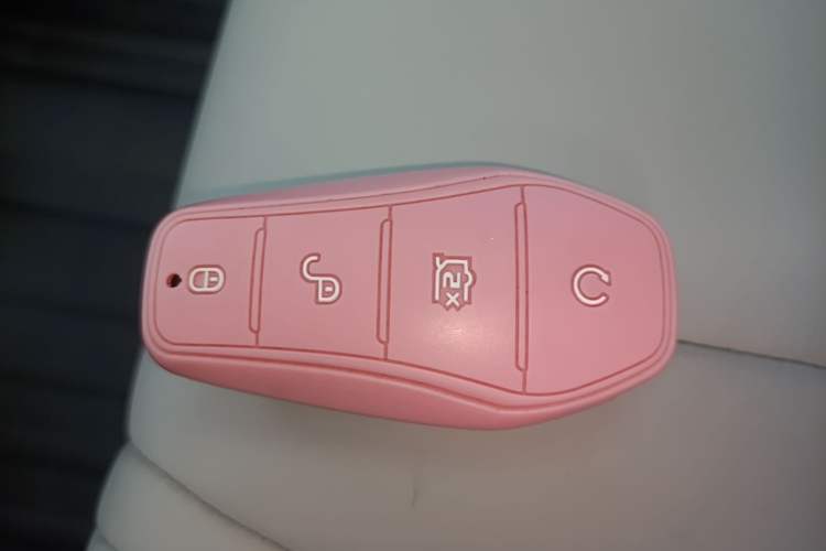 Used BYD Dolphin 2021 405 km Fashion Edition Vehicle Key
