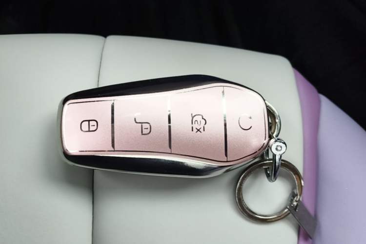 Used BYD Dolphin 2021 405 km Fashion Edition Vehicle Key