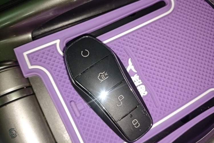 Used BYD Dolphin 2021 405 km Fashion Edition Vehicle Key
