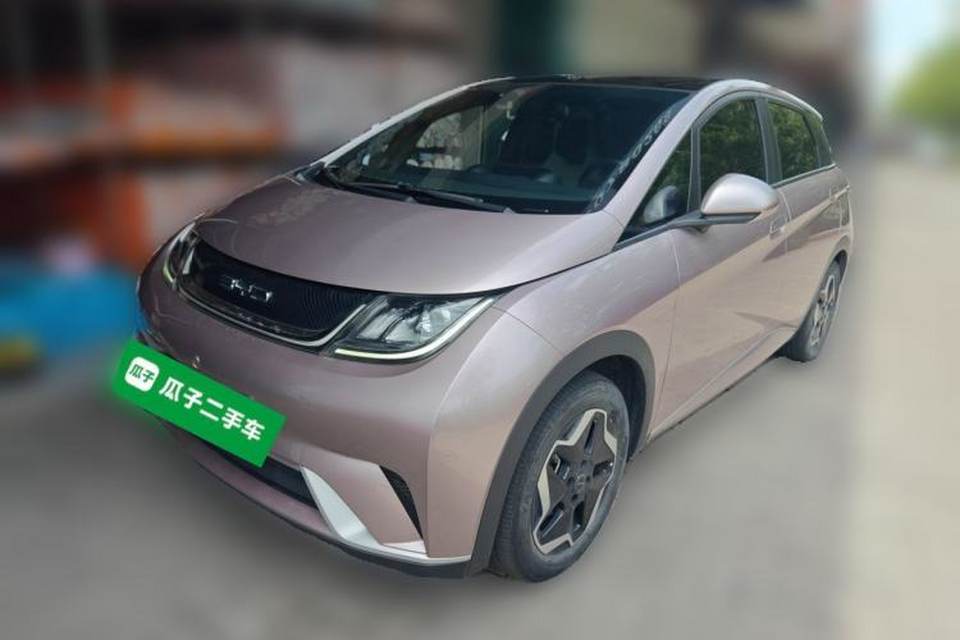 BYD Dolphin 2021
