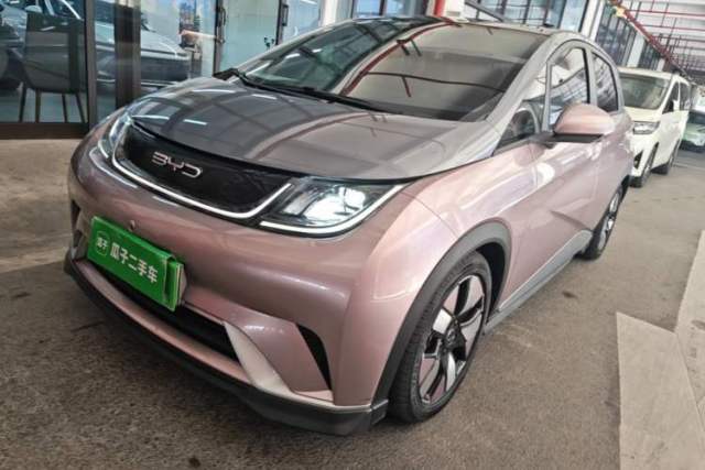 Used BYD Dolphin 2021 401km Knight Edition
