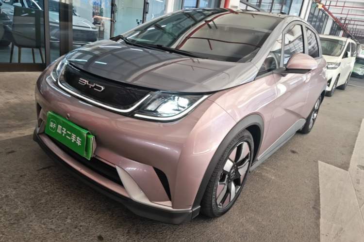 Used BYD Dolphin 2021 401km Knight Edition Guazi used car, China used car export, Used car for sale, Used  cars, Cheapest cars for sale