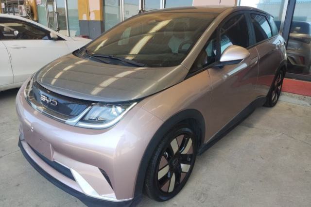 BYD Dolphin 2021 401km Knight Edition de segunda mano