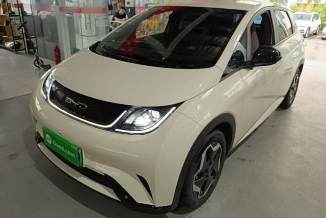 Used BYD Dolphin 2021 405 km Free Version